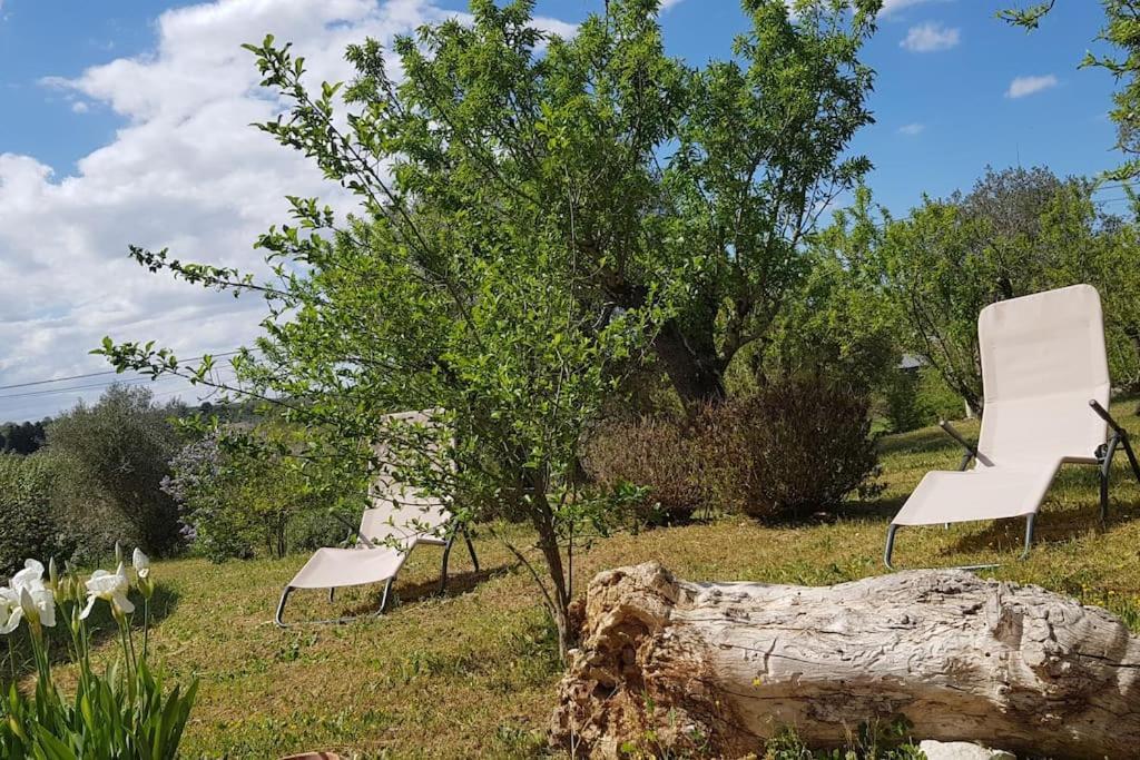Podere Del Gelso Bianco, Vacation Rental オストゥーニ エクステリア 写真