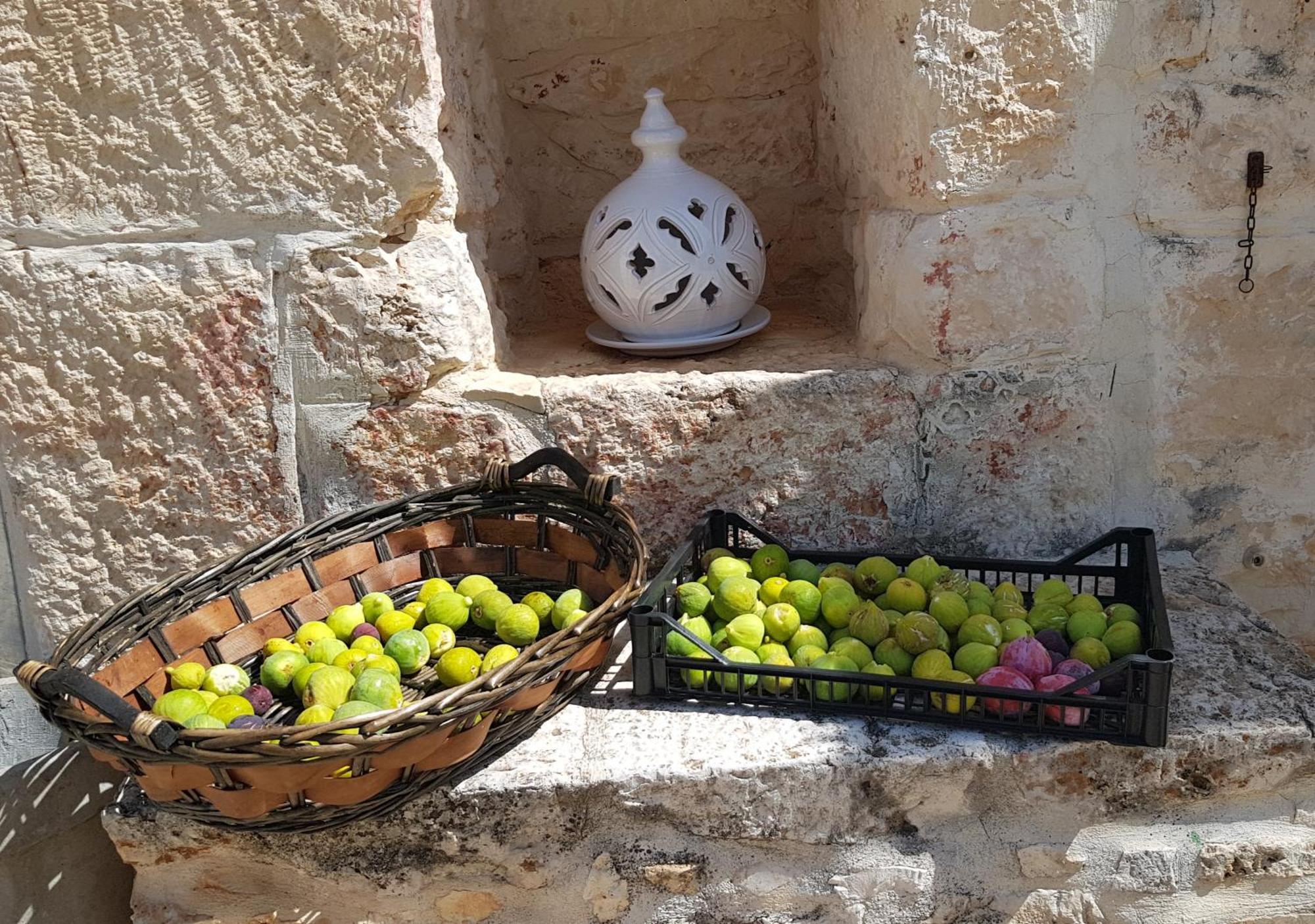 Podere Del Gelso Bianco, Vacation Rental オストゥーニ エクステリア 写真