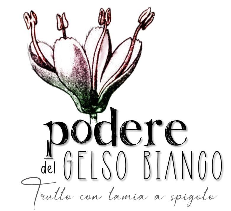Podere Del Gelso Bianco, Vacation Rental オストゥーニ エクステリア 写真
