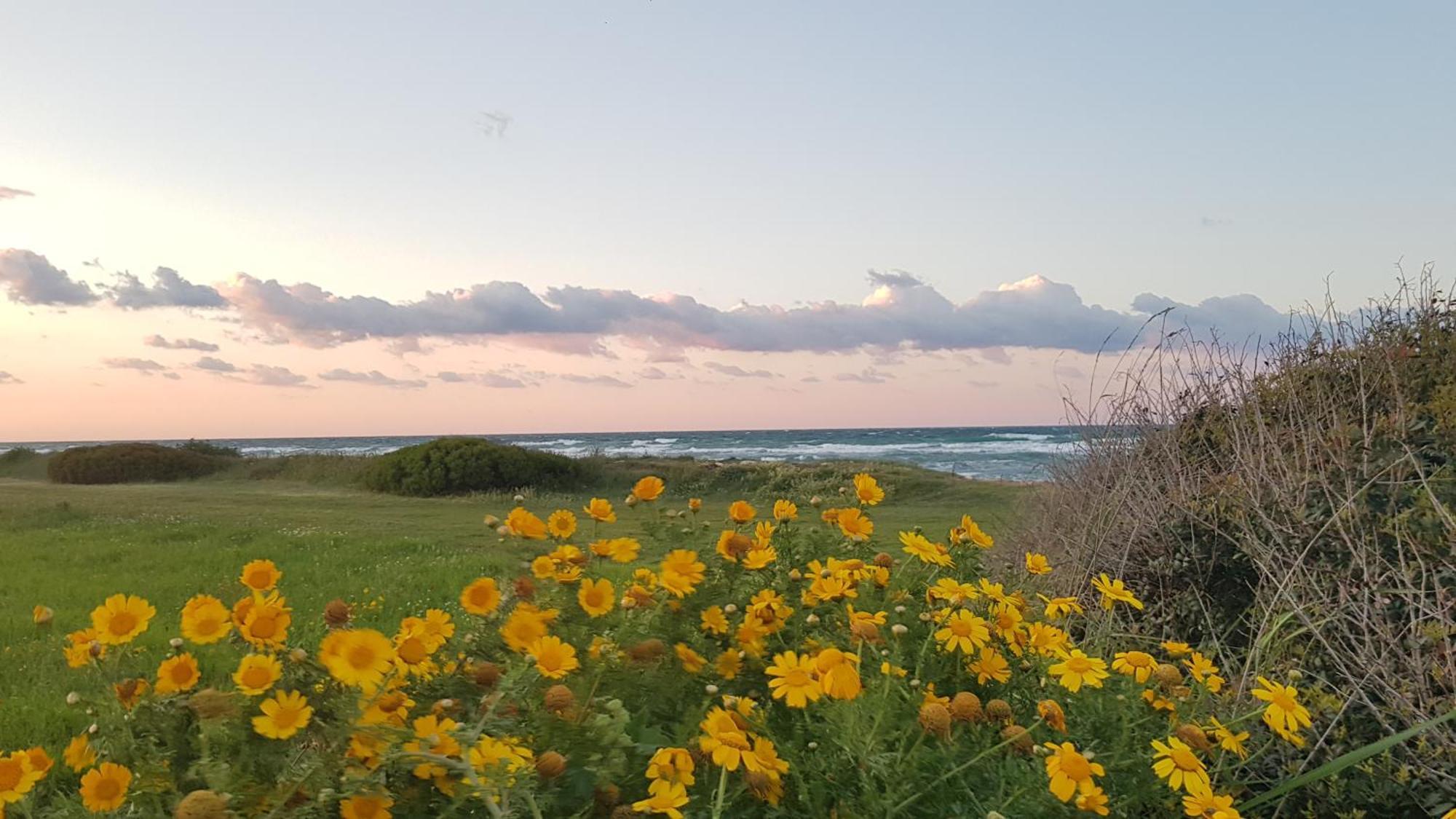 Podere Del Gelso Bianco, Vacation Rental オストゥーニ エクステリア 写真
